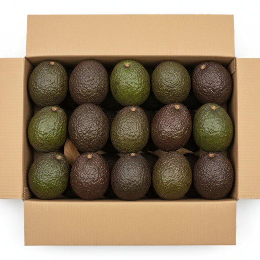 Frische Avocados in Karton, direkt vom andalusischen Feld, Fincafresh Obst und Gemüse
